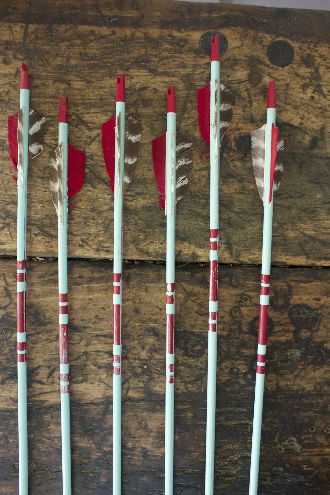 1950s Archery Set
