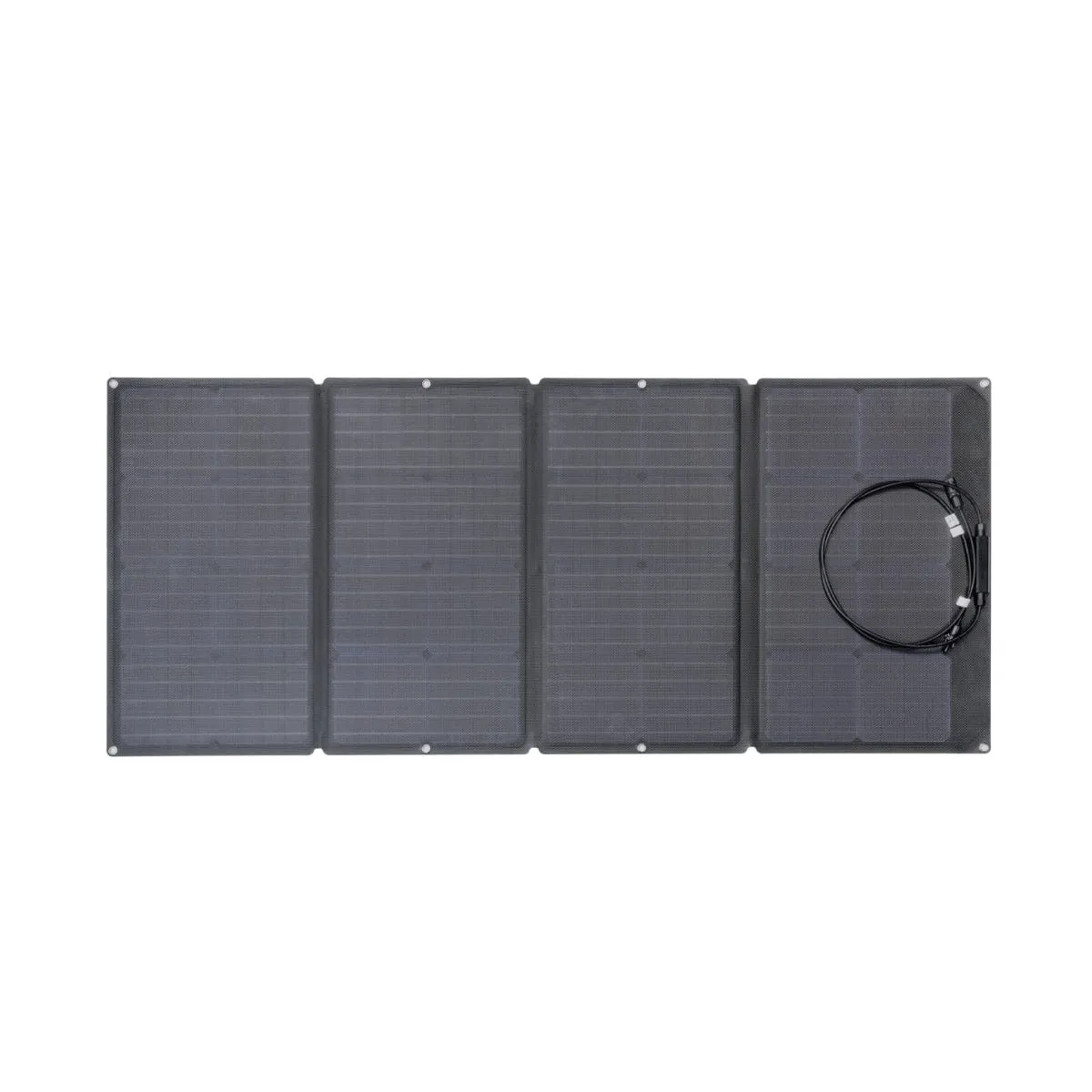 EcoFlow DELTA Max 2000   160W Solar Panel