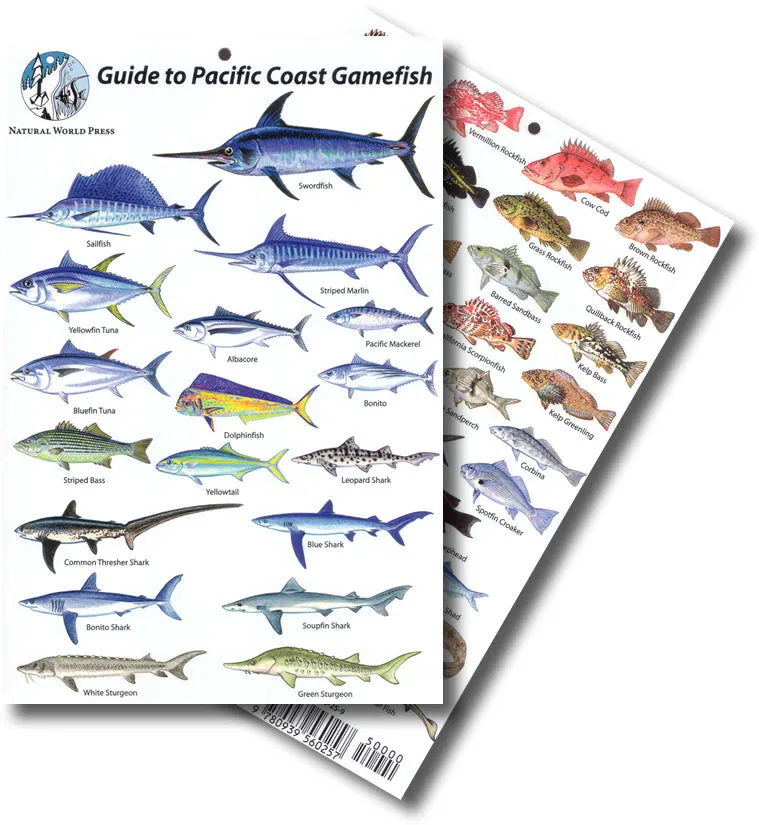 Pacific Coast Gamefish Identification Card